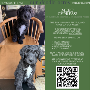 Cypress